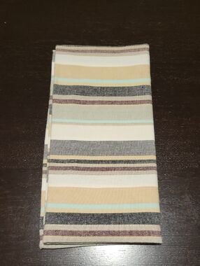 Aman Imports - Striped Beige, Cream & Aqua 100% Cotton Napkin (Set of 6)